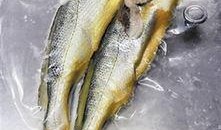 小黄鱼爆料新闻视频,揭秘新闻视频背后的真相