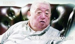 王天林爆料完整视频大全,事件始末与幕后真相