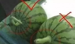 娱乐吃瓜教,吃瓜群众教你如何成为行走的八卦达人