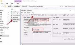 跑酷最新爆料视频下载安装,揭秘极限运动背后的惊险与激情