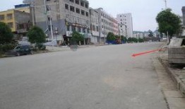广西崇左网友爆料新闻事件,惊现神秘事件，真相令人震惊！