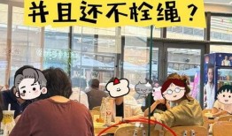 天津饭店爆料视频播放网站,热门内容盘点与幕后故事