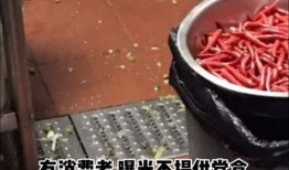 酱骨头外卖爆料视频下载,美味与安全的双重体验揭秘