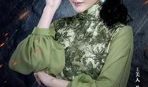 老九门免费在线观看,免费在线观看，探秘民国奇案风云