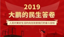 早安爆料深圳新闻网最新,早安爆料，最新资讯速递