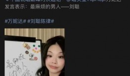 爆料陈律刘聪视频大全集,揭秘背后故事与精彩瞬间