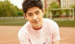 娱乐圈爆料刘昊然是谁,娱乐圈爆料背后的青春偶像