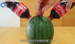 娱乐吃瓜教,吃瓜群众教你如何成为行走的八卦达人