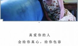 真心以对在线观看,在线观看，感受真挚情感的力量