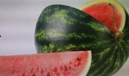 雪梨娱乐吃瓜,揭秘娱乐圈吃瓜背后的真相与内幕