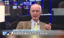 外国新闻记者爆料视频,揭秘事件背后惊人真相