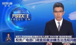独家爆料逃税案例最新,独家爆料揭示企业避税黑幕