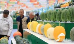 潍坊新瓜最新爆料,揭秘背后惊人真相