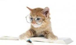 娱乐吃瓜君和猫,揭秘娱乐圈的萌宠趣事