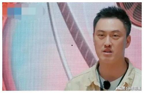 娱乐圈吃瓜爆料天王是谁,揭秘幕后真相与惊人内幕